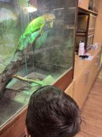 Fotografie img-8470_original.jpeg