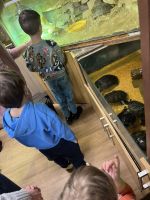 Fotografie img-8471_original.jpeg