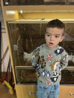 Fotografie img-8477_original.jpeg