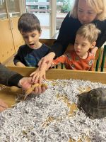 Fotografie img-8482_original.jpeg