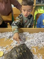 Fotografie img-8489_original.jpeg