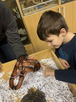 Fotografie img-8497_original.jpeg