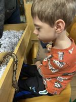 Fotografie img-8507_original.jpeg