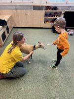 Fotografie 582034307-1114533944093957-7204310552438_original.jpg