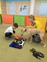 Fotografie 582115196-811376168469698-78625139927740_original.jpg