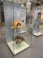 Fotografie img-5842_original.jpeg