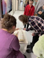 Fotografie img-5863_original.jpeg