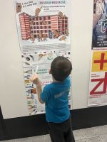 Fotografie img-9191_original.jpeg