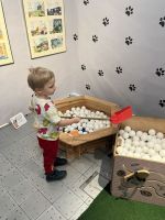 Fotografie img-9223_original.jpeg