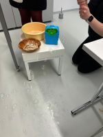 Fotografie img-2607_original.jpg