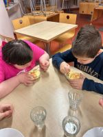 Fotografie image5_original.jpeg