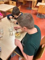 Fotografie image6_original.jpeg