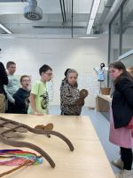 Fotografie img-6865_original.jpeg