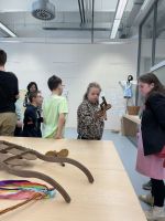 Fotografie img-6866_original.jpeg