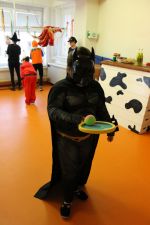 Fotografie img-2572_original.jpg