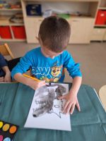 Fotografie 378df0d5-4a3a-4fec-8697-8da57bf7e1b8_original.jpg