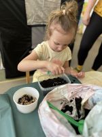 Fotografie 651053911-4315826245330675-1265512291758_original.jpg