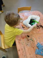 Fotografie c0c82548-64ff-4777-8133-9c069a39e732_original.jpg