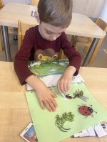 Fotografie img-0856_original.jpeg