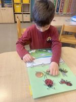 Fotografie img-0859_original.jpeg