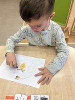 Fotografie img-0875_original.jpeg