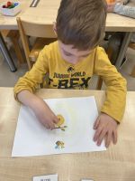 Fotografie img-0876_original.jpeg