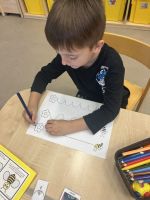 Fotografie img-0877_original.jpeg