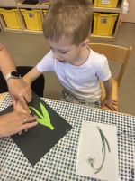 Fotografie img-0890_original.jpeg