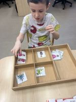 Fotografie img-1027_original.jpeg