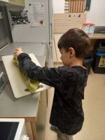 Fotografie 20260129-161558_original.jpg