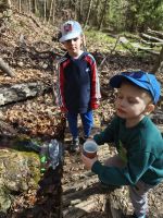 Fotografie img-20260405-1534561_original.jpg