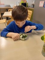 Fotografie 20260402-154116_original.jpg