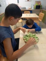 Fotografie 20260402-154533_original.jpg