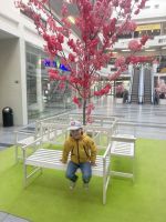 Fotografie image-3_original.jpg