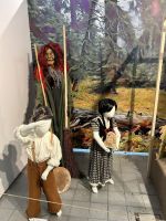 Fotografie cozl5490_original.jpg