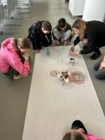 Fotografie sbfh5580_original.jpg