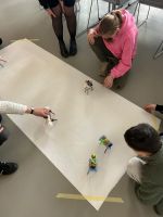 Fotografie suie0436_original.jpg