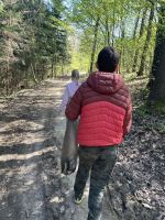 Fotografie 0e4fb004-cb60-4188-b752-576991adafad_original.jpg