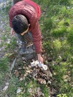 Fotografie 2fa8f875-55d5-4e41-9917-b2cad28f0eb6_original.jpg