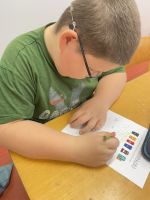 Fotografie img-7249_original.jpeg