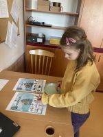 Fotografie img-7259_original.jpeg