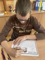 Fotografie img-7261_original.jpeg