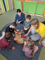 Fotografie 0d8e3b2c-824a-4dd1-bda4-681d1855ca73_original.jpg