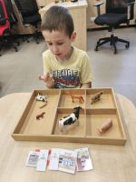 Fotografie attjnjr-8kmimvk-b5jdd5gan5cznlfqbhdlu-yd_original.jpg