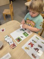 Fotografie img-1633_original.jpeg