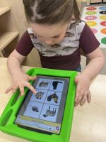 Fotografie img-1635_original.jpeg