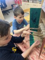 Fotografie img-1709_original.jpeg