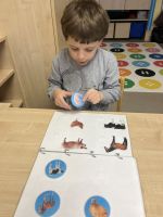 Fotografie img-1755_original.jpeg