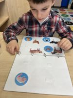 Fotografie img-1757_original.jpeg