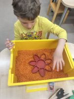 Fotografie img-1759_original.jpeg